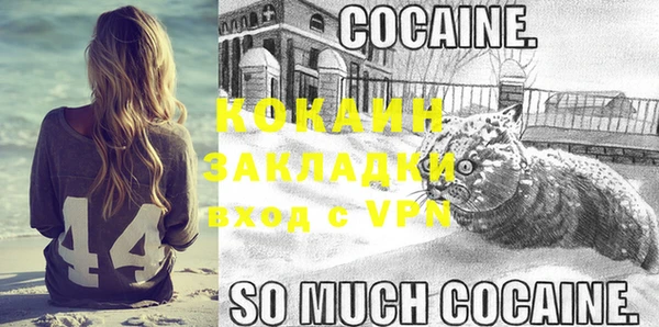 ГАЛЛЮЦИНОГЕННЫЕ ГРИБЫ Новозыбков