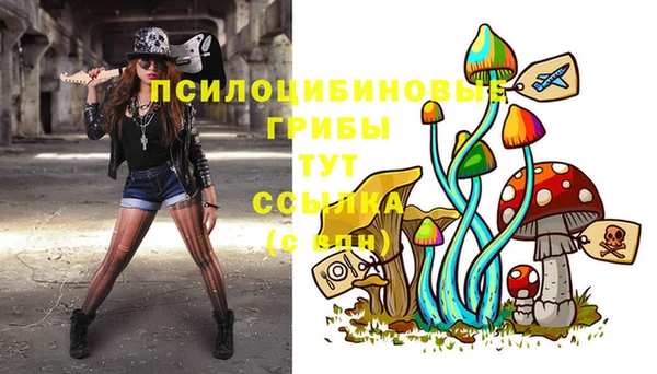 каннабис Новодвинск
