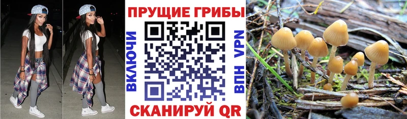 Псилоцибиновые грибы MAGIC MUSHROOMS  MEGA рабочий сайт  Сасово 