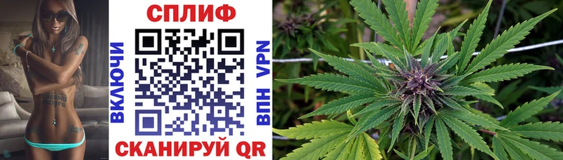 купить наркоту  Сасово  KRAKEN как войти  Бошки марихуана тримм 